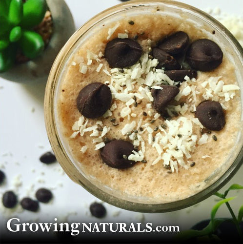 Vegan Coconut Mocha Frap