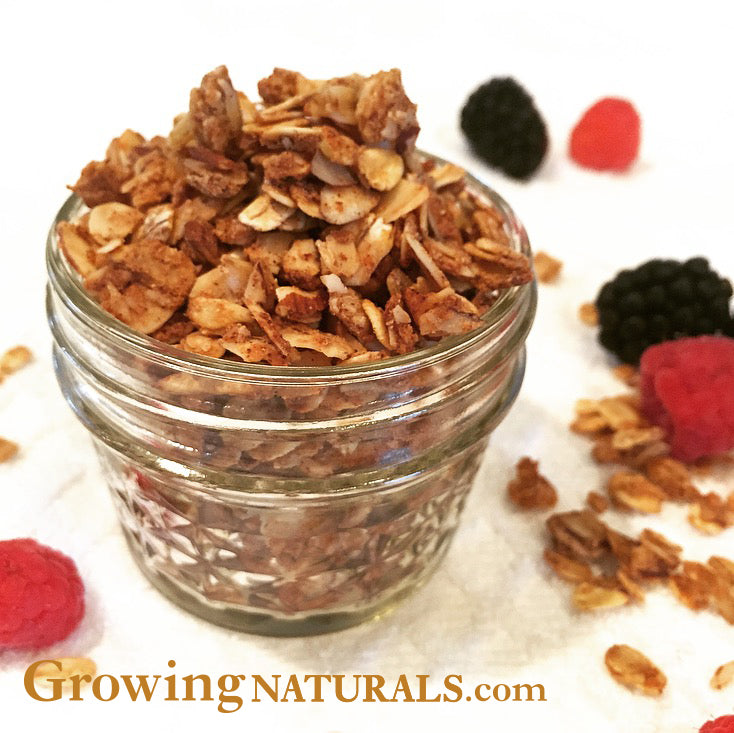 Honey Coconut Almond Protein Granola