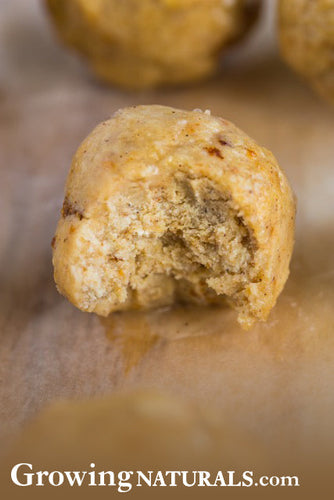 Vanilla Gingerbread Protein Bites – Growing Naturals