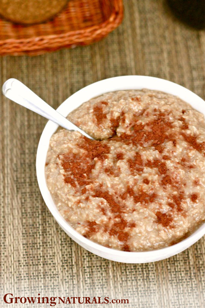 Mocha Fudge Protein Oatmeal