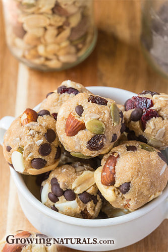 No Bake Trail Mix Protein Bites – Growing Naturals