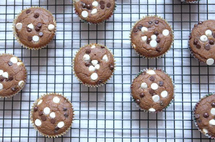 Gluten Free Pumpkin Chip Protein Muffins