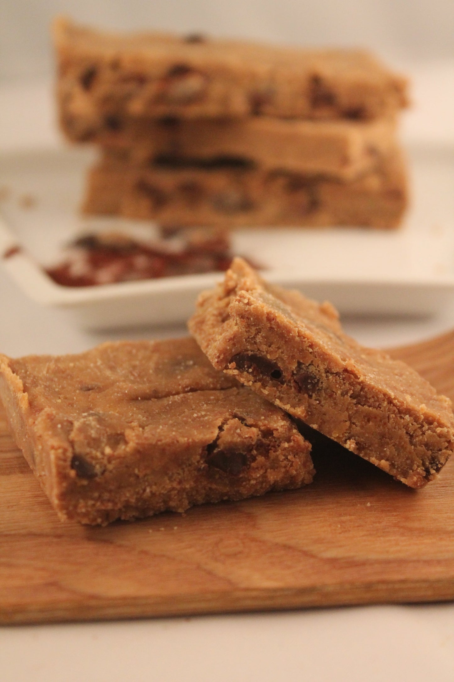 Sugar Free Raw Lemon Coconut Protein Bars