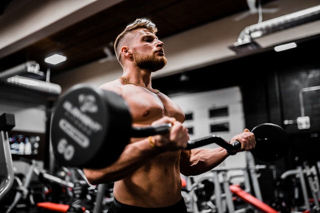 rice protein as good as whey latest published study issn
