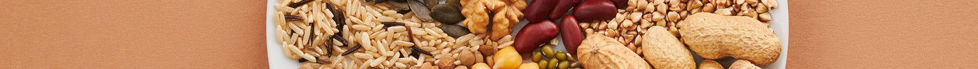 6 Reasons to Add More Plant Protein to Your Diet