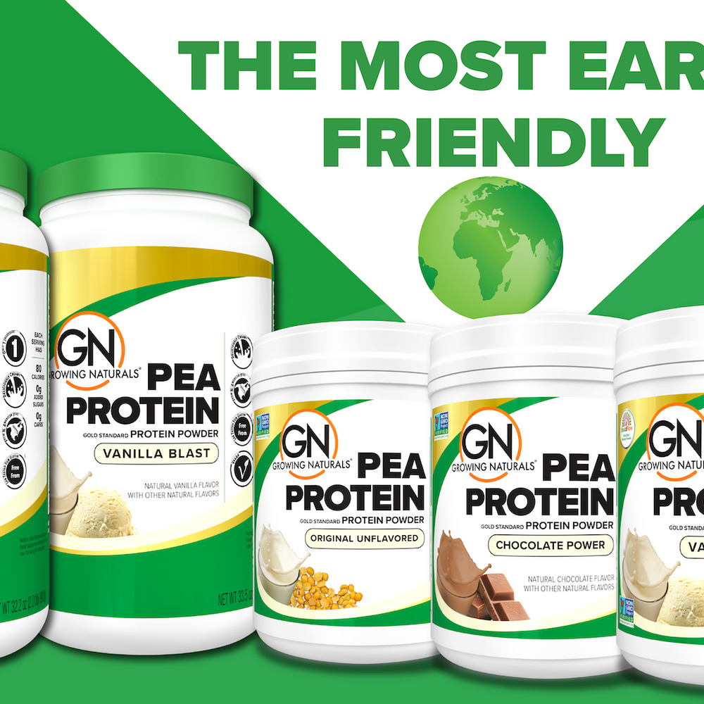 
                  
                    Non-GMO Pea Protein
                  
                