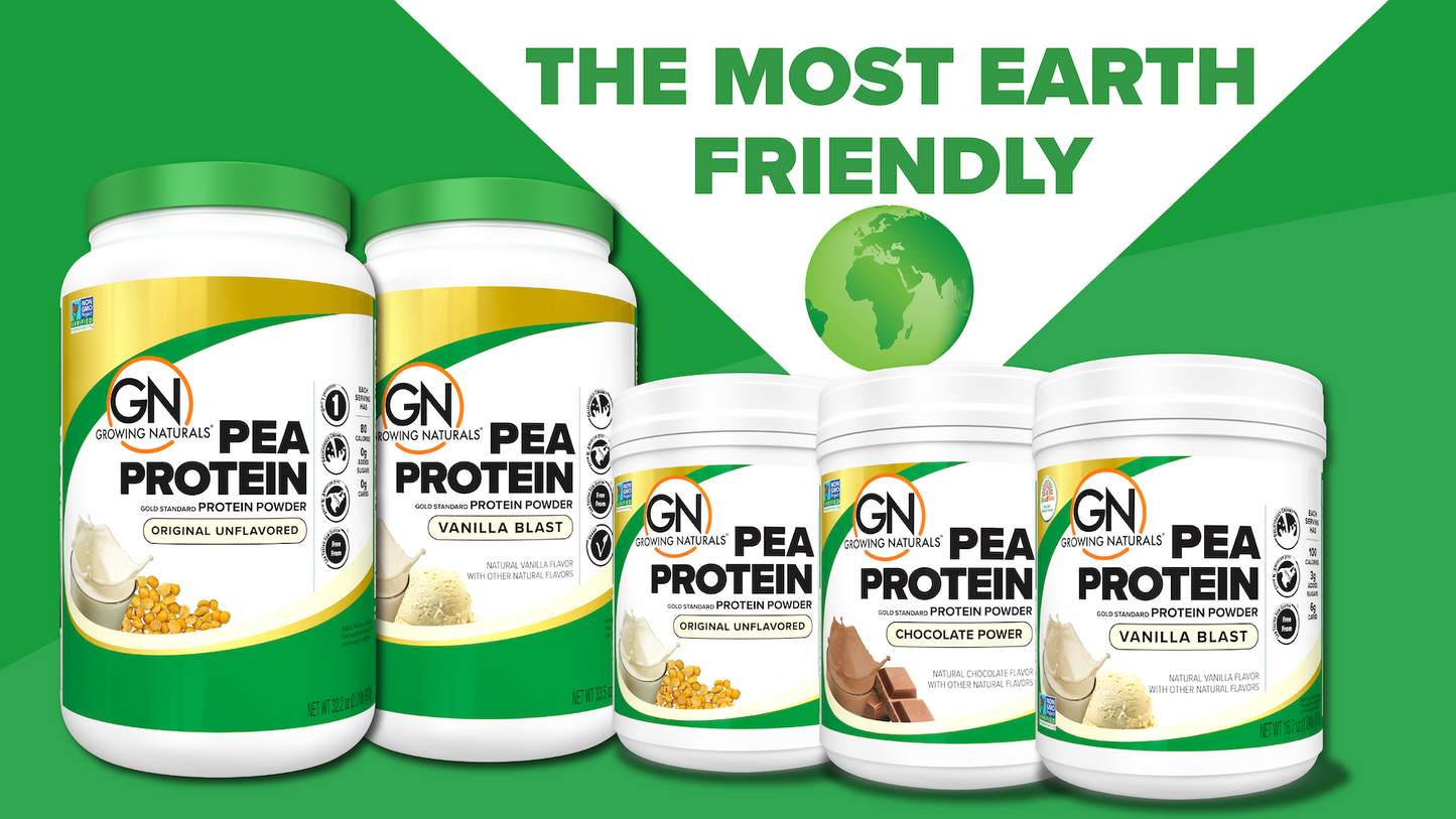 Non-GMO Pea Protein Powder