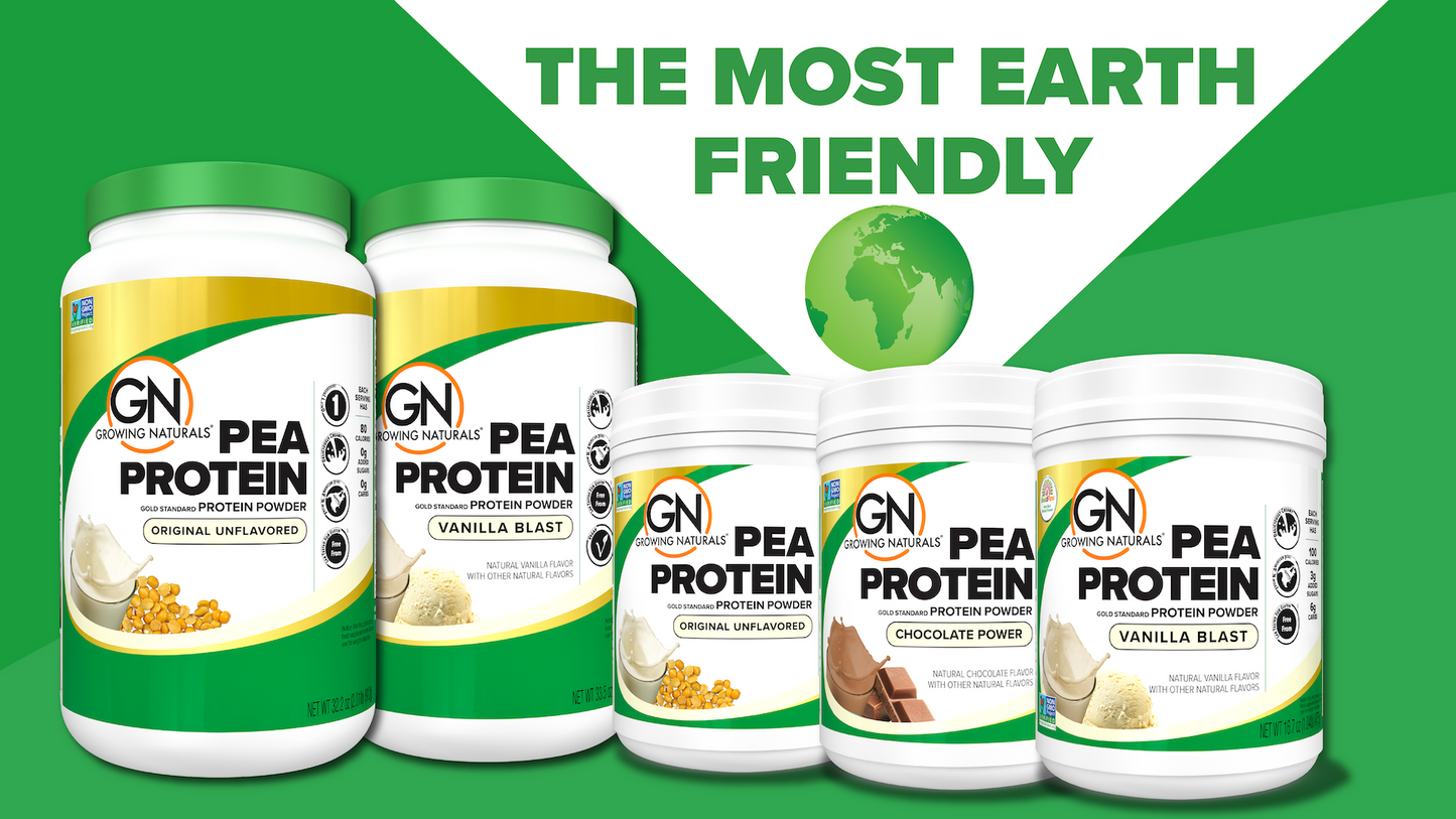 
                  
                    Non-GMO Pea Protein
                  
                