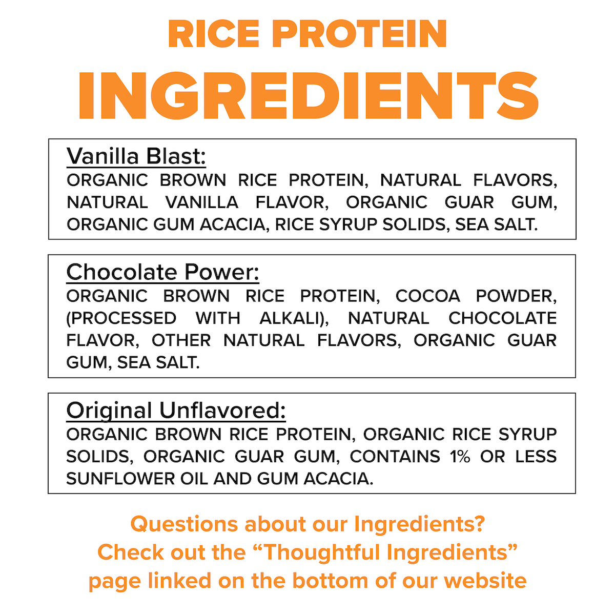 Organic Rice Protein Powder