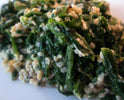 Hemp and Pea Yum Protein Spinach