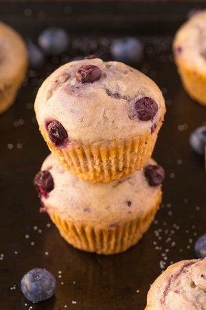Blueberry Banana Power Protein Muffins