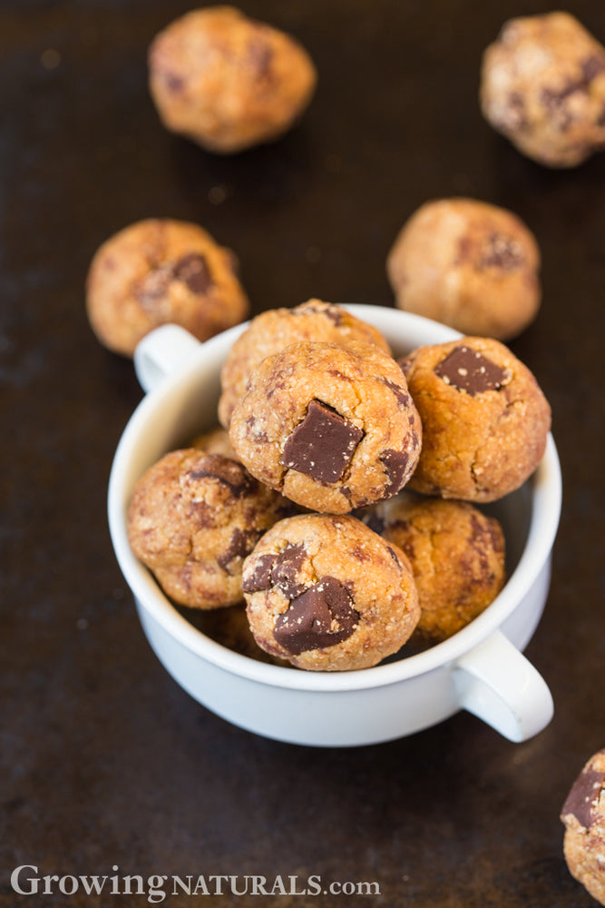 Low Sugar Chocolate Chunk Cookie Dough Bites