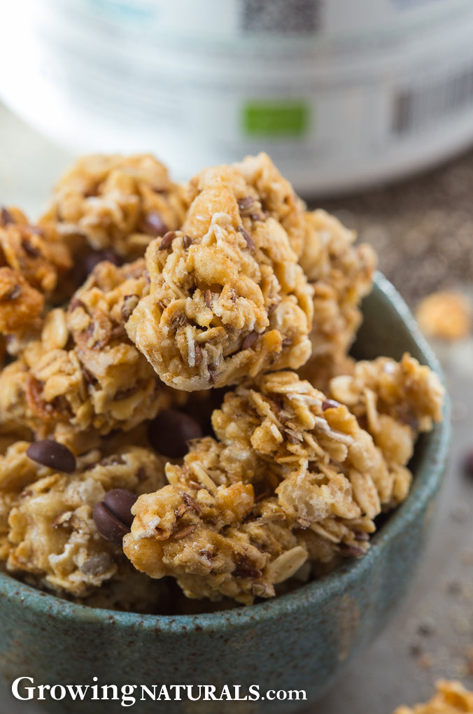 Vanilla Chia Granola Clusters