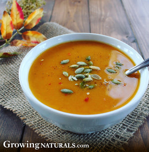 Hearty Butternut Squash and Bean Soup