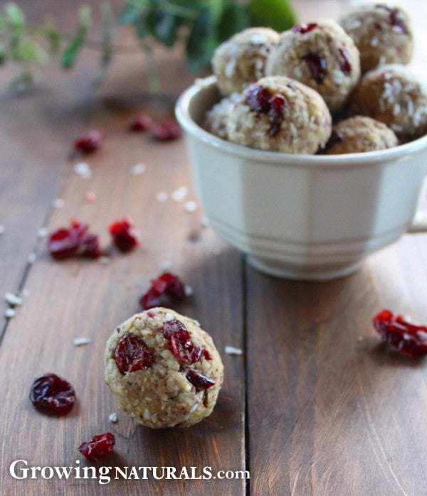 Vegan Cranberry Vanilla Energy Bites