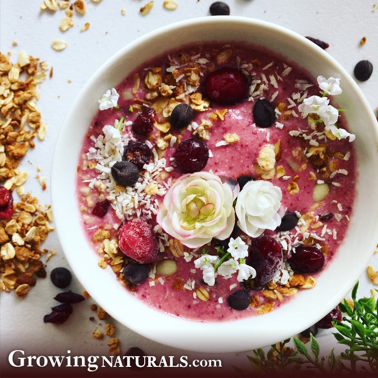 Cranberry Coconut Smoothie Bowl