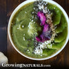 Pineapple Kiwi Kale Smoothie