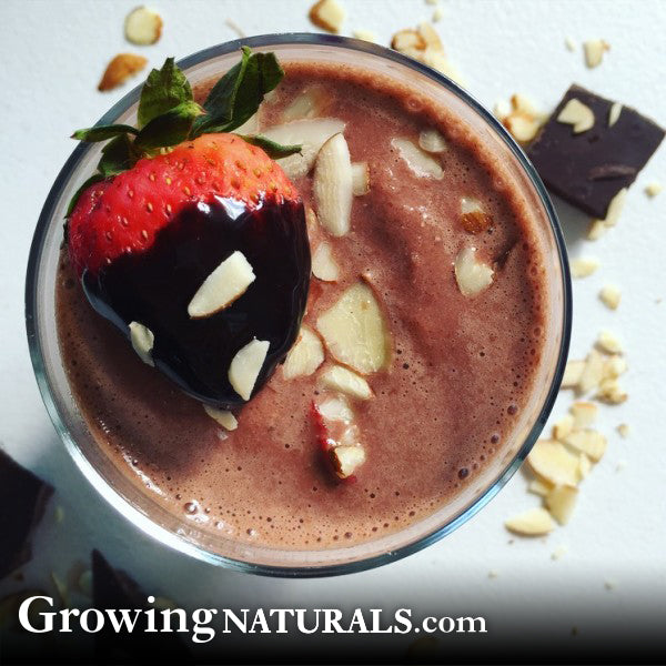 Dark Chocolate Strawberry Protein Smoothie