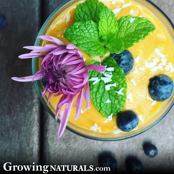 Tropical Mango Pineapple Turmeric Smoothie