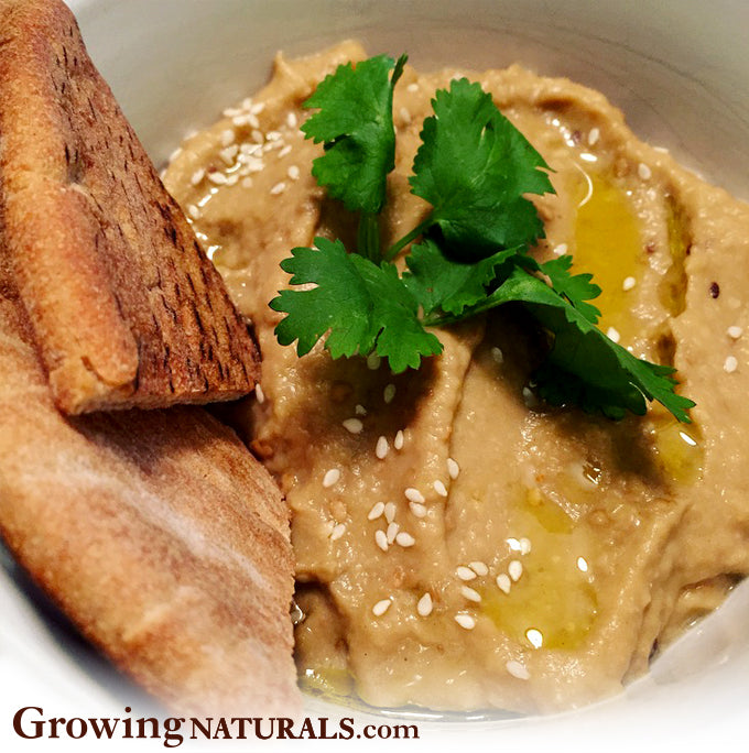 Protein Powered Baba Ghanouj (Eggplant Dip)