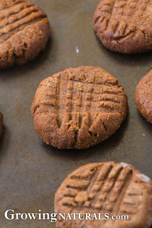 Nutella Protein Cookies