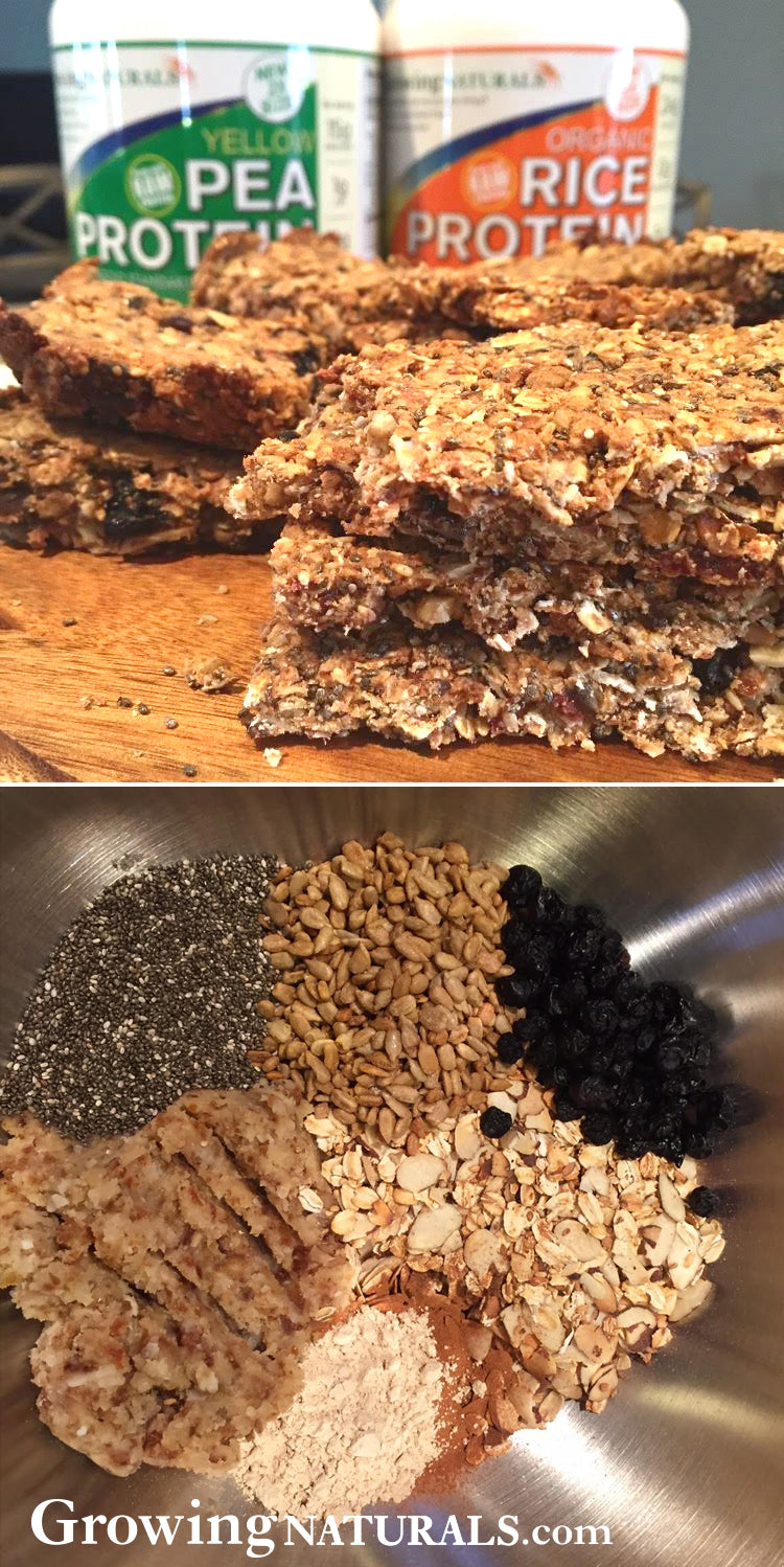 Vegan Fruit, Nut & Seed Protein Bars