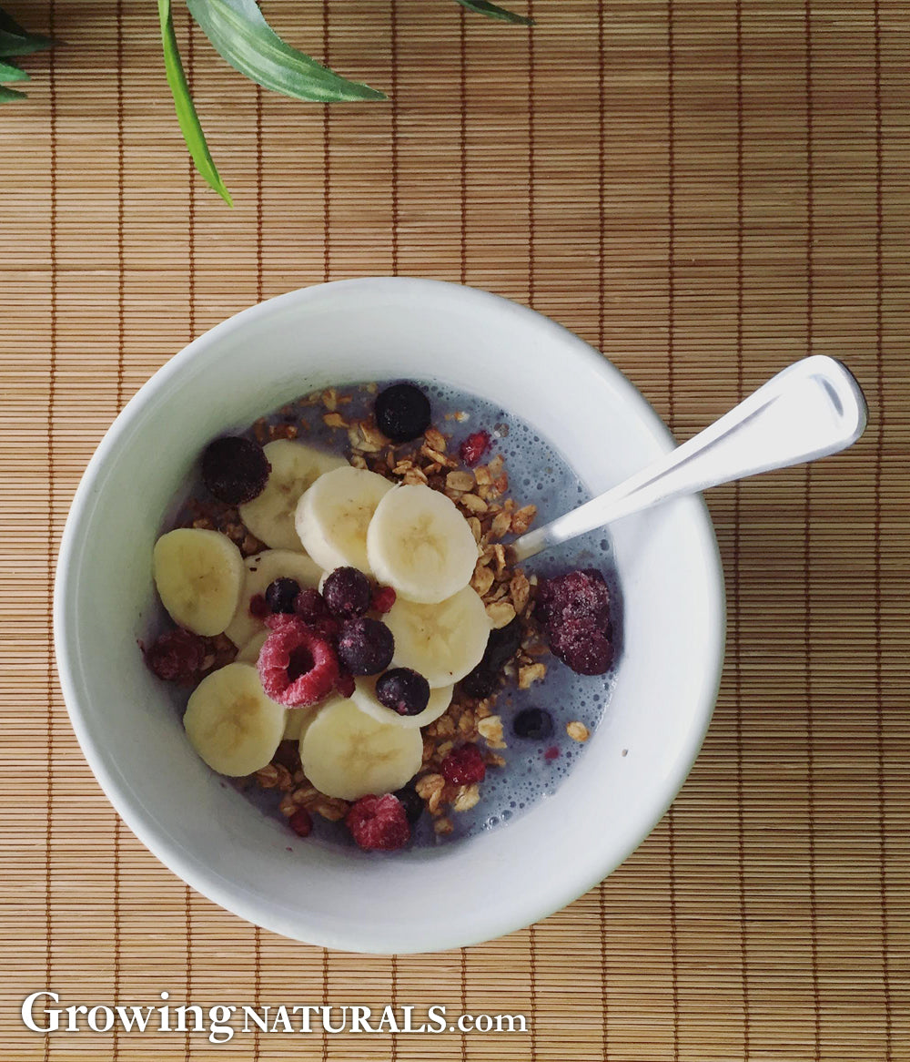 berry chia seed pudding