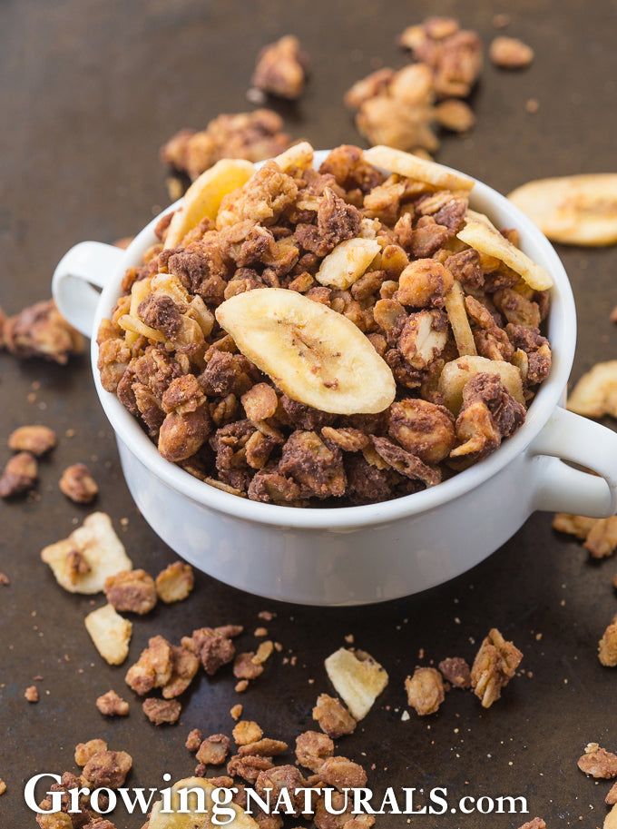 Chunky Monkey Protein Granola