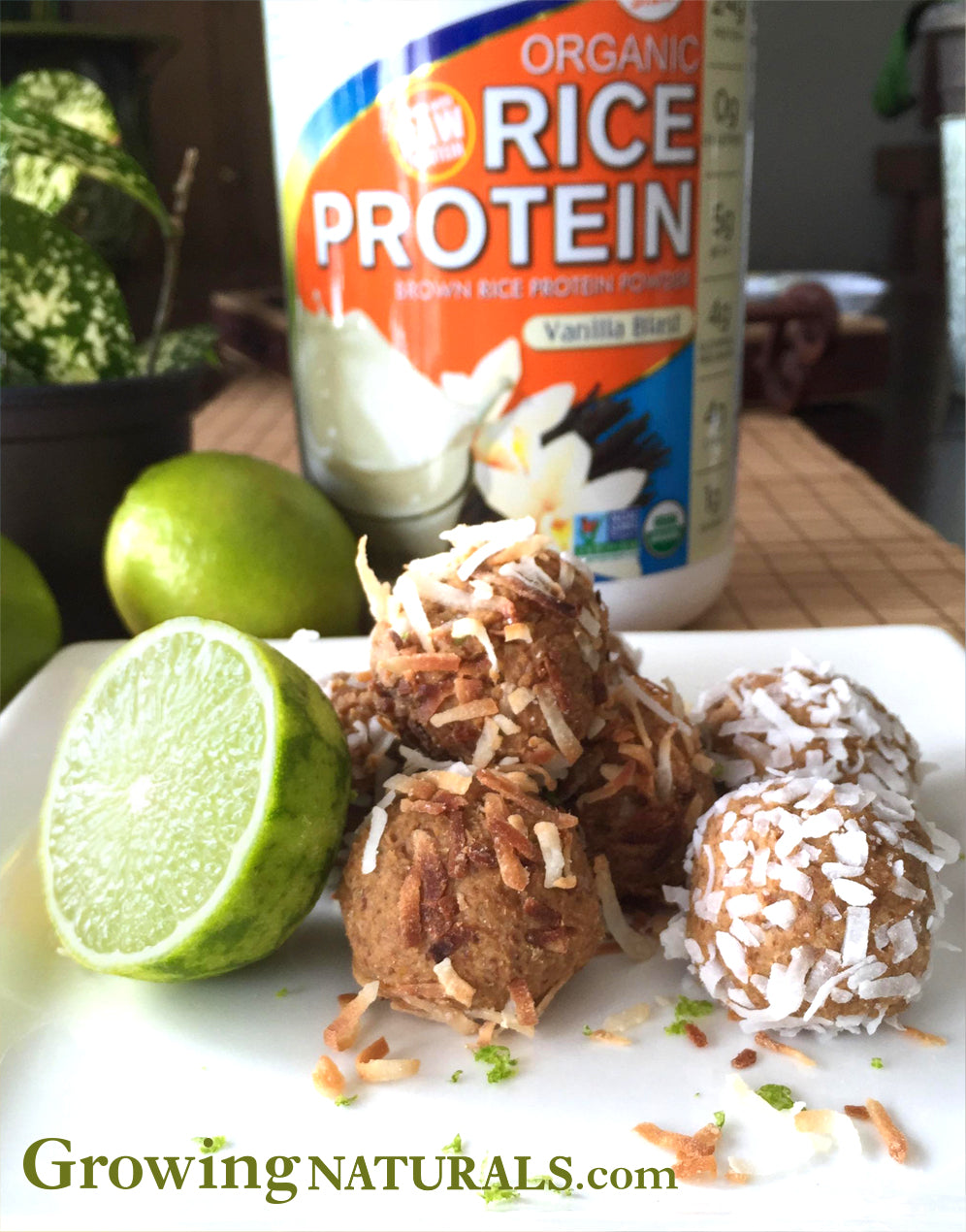 Coconut Key Lime Protein Energy Bites