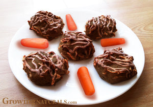 Kaz’s Super Chocolate Peanut Butter Veggie Crisp Cookies