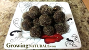 Chocobutter Protein Bites