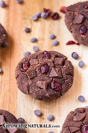 Black Forest Protein Cookies