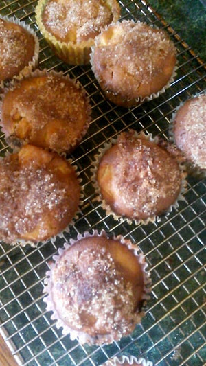 Cinnamon Crunch Protein Muffins