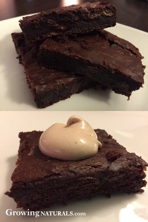 Plant Powered Double Chocolate Brownies