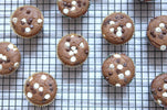 Gluten Free Pumpkin Chip Protein Muffins