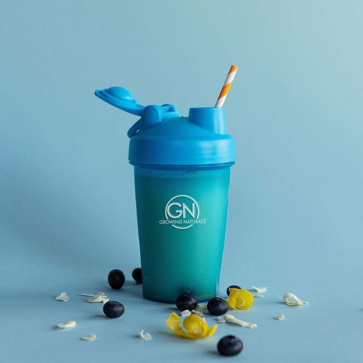 Blueberry Lemonade Protein Shake