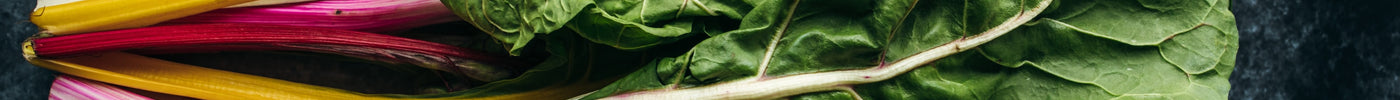Non-Heme Iron: Is it Better for Your Health?