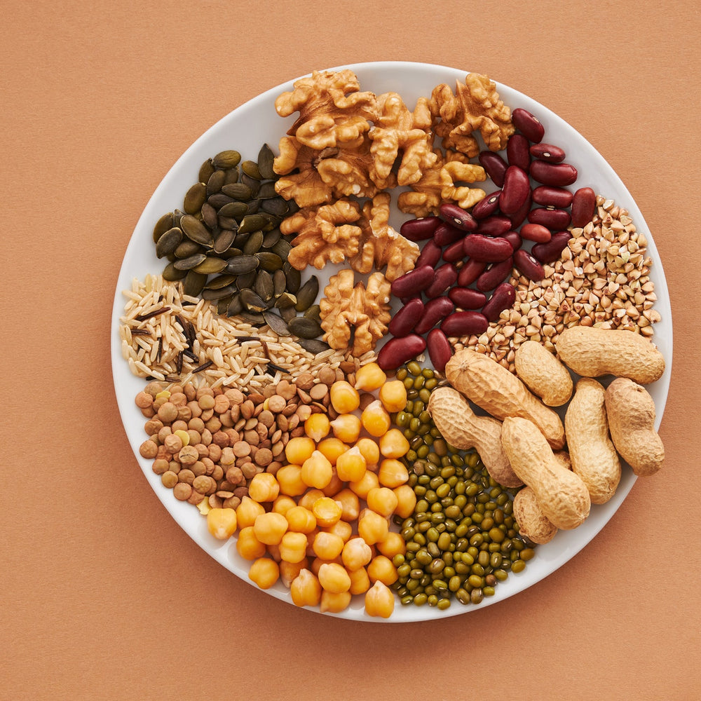 6 Reasons to Add More Plant Protein to Your Diet