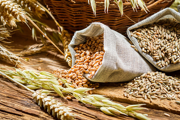 Grains—Are They Good or Bad for You?