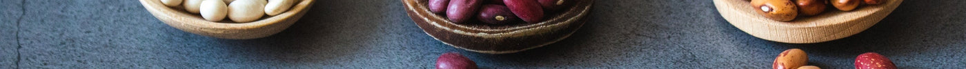 Protein 101: A Beginner’s Guide to Dietary Protein