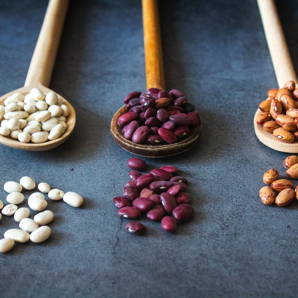 Protein 101 Protein 101: A Beginner’s Guide to Dietary Protein – Growing Naturals