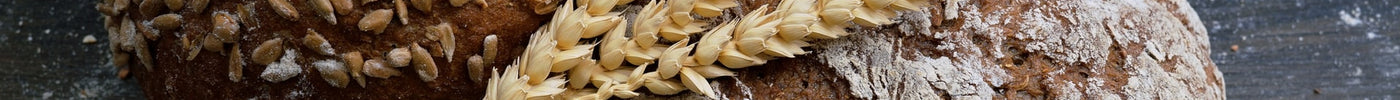 12 Myths About Gluten