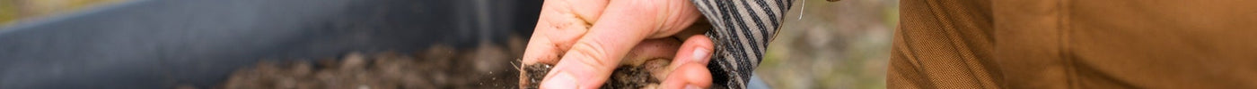 Does your body absorb all food contaminants?
