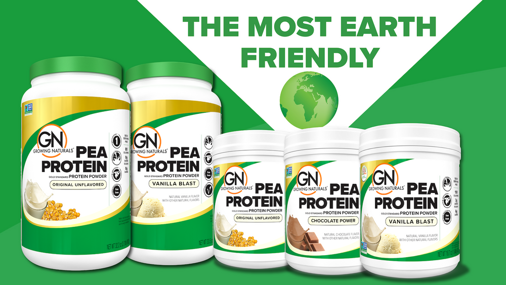 Non-GMO Pea Protein