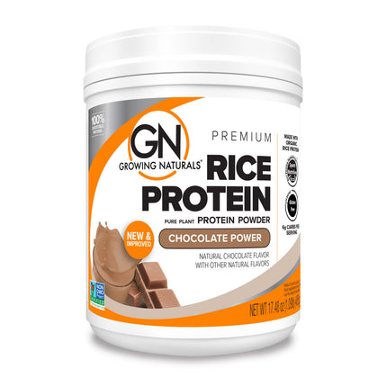 cleanest best chocolate vegan protein rice allergen-free, dairy free