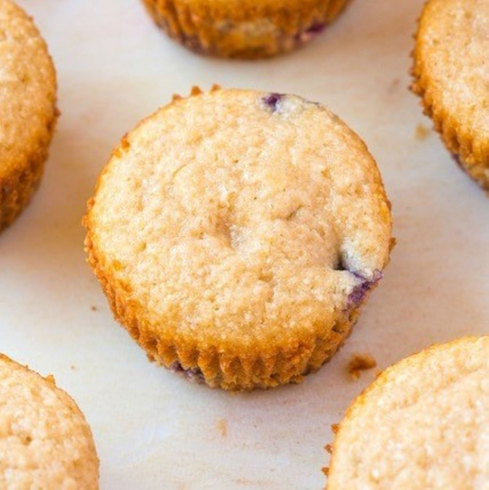 easy blender lemon blueberry muffins plant based protein vegan